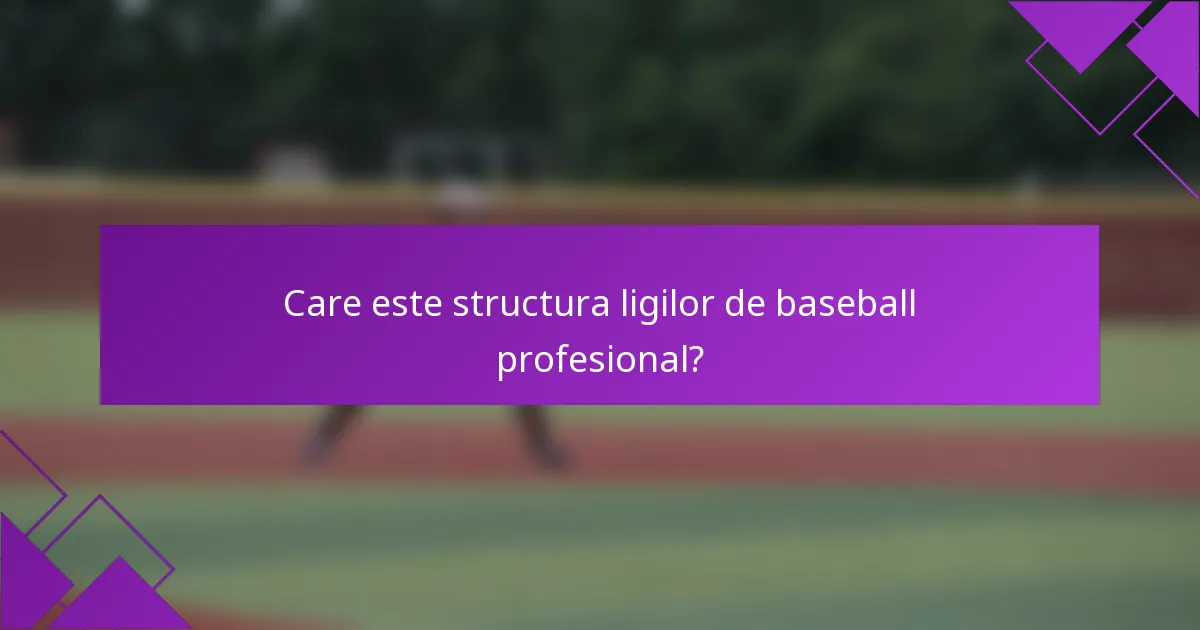 Care este structura ligilor de baseball profesional?