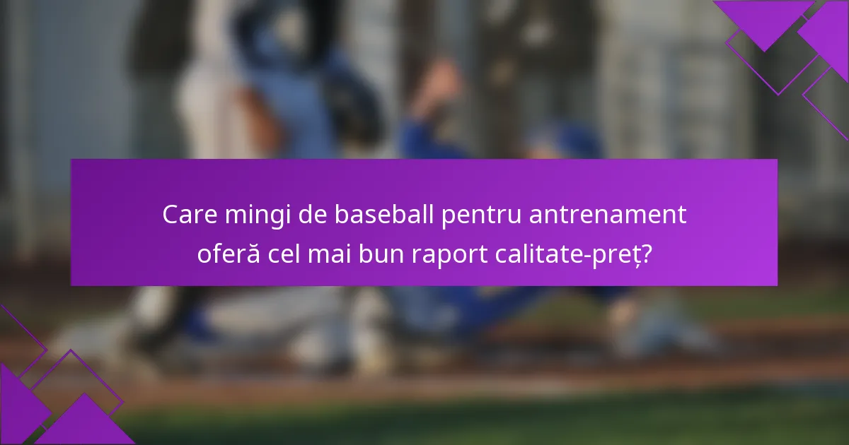 Care mingi de baseball pentru antrenament oferă cel mai bun raport calitate-preț?