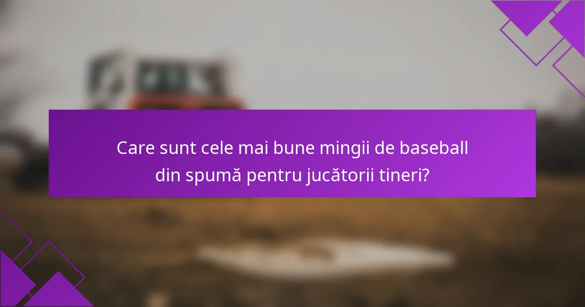 Care sunt cele mai bune mingii de baseball din spumă pentru jucătorii tineri?