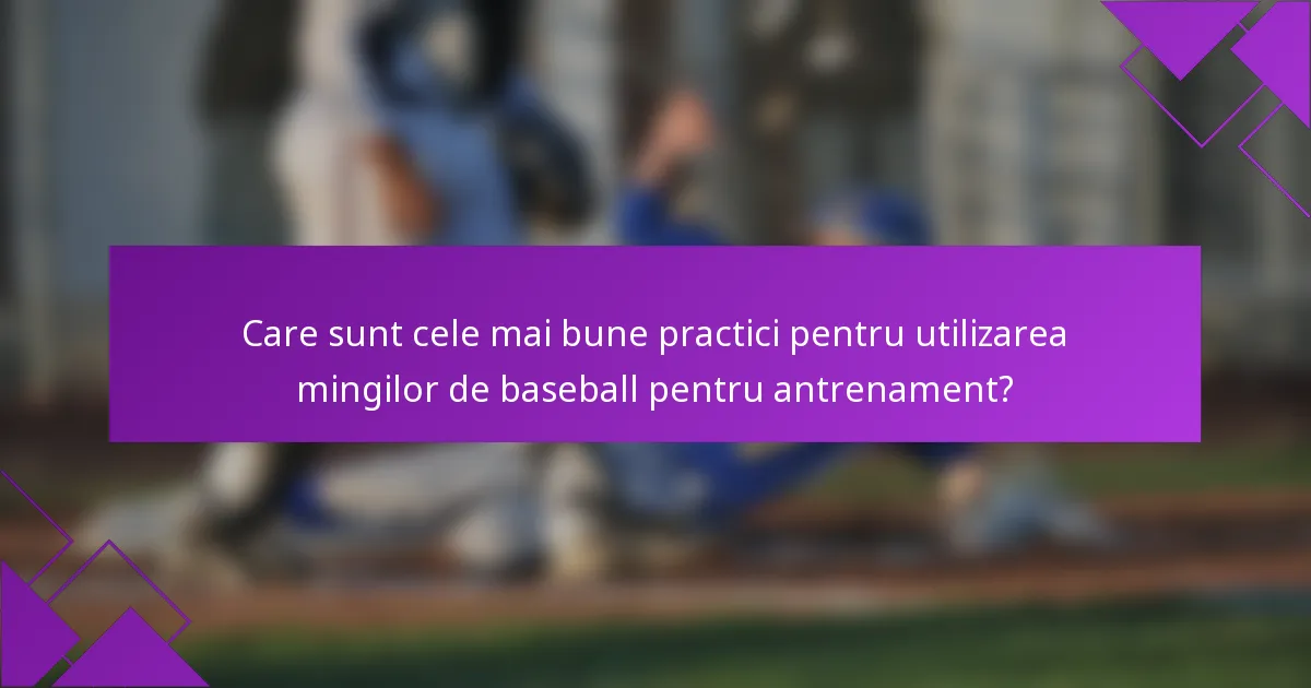 Care sunt cele mai bune practici pentru utilizarea mingilor de baseball pentru antrenament?