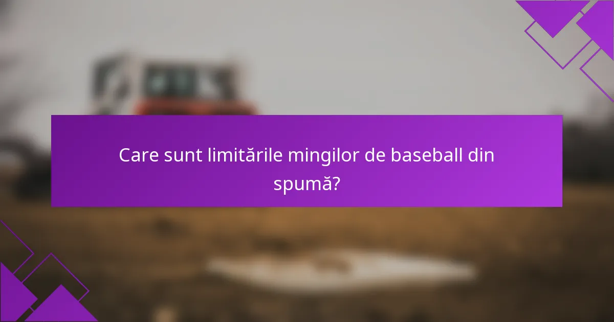 Care sunt limitările mingilor de baseball din spumă?