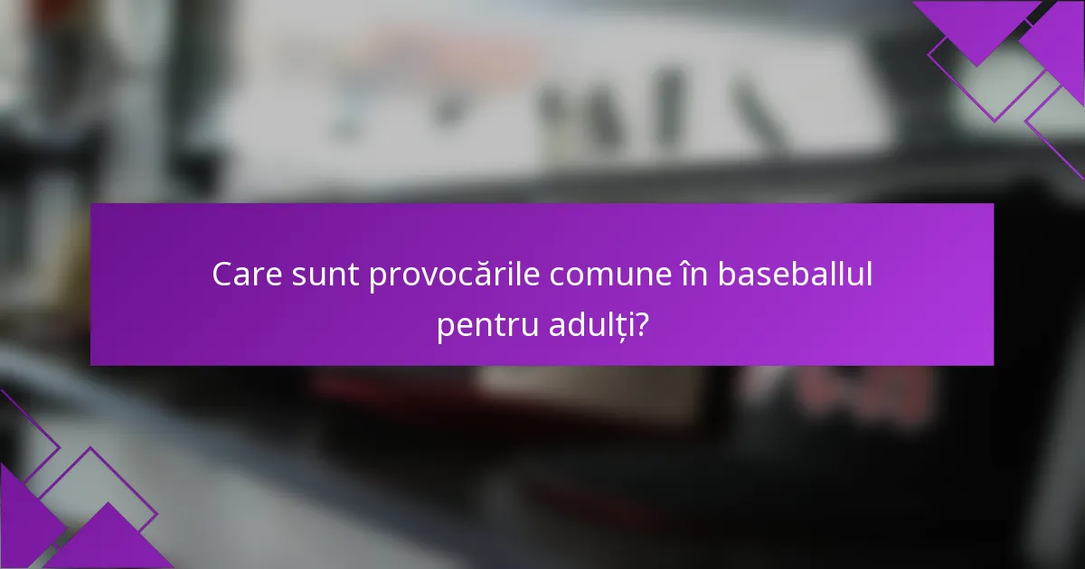 Care sunt provocările comune în baseballul pentru adulți?