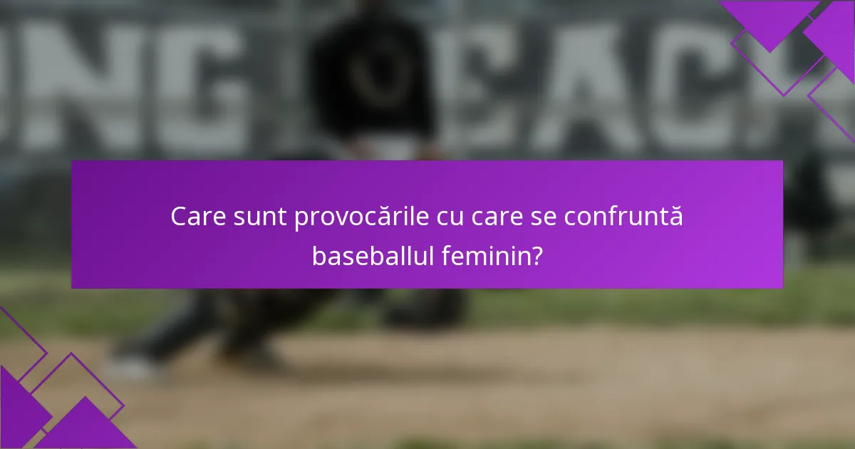 Care sunt provocările cu care se confruntă baseballul feminin?