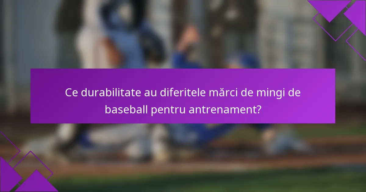 Ce durabilitate au diferitele mărci de mingi de baseball pentru antrenament?