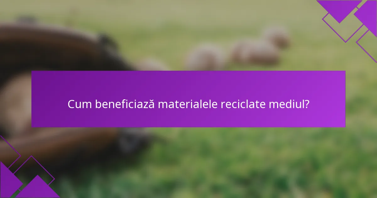 Cum beneficiază materialele reciclate mediul?