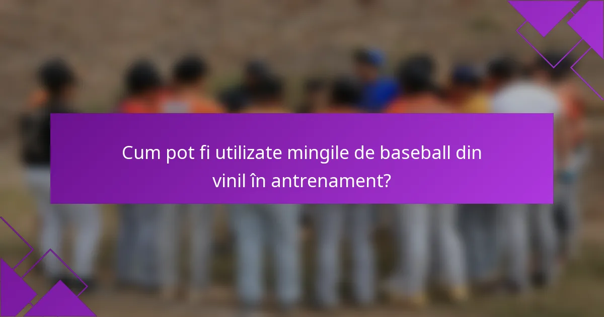 Cum pot fi utilizate mingile de baseball din vinil în antrenament?