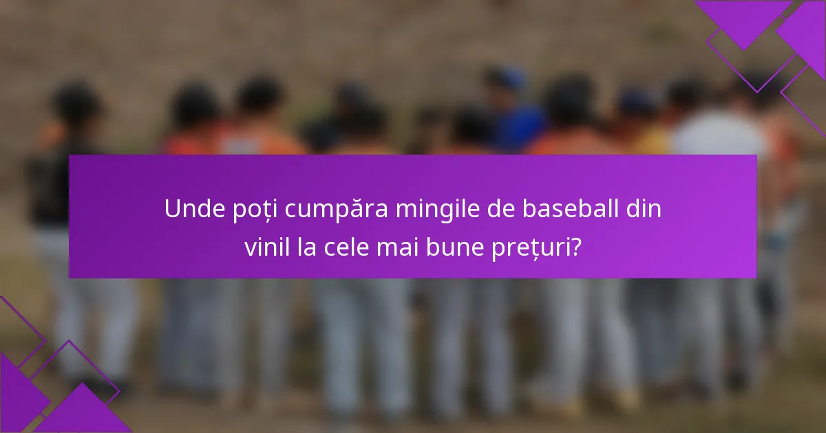 Unde poți cumpăra mingile de baseball din vinil la cele mai bune prețuri?